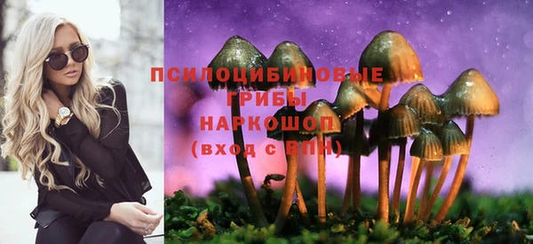 прущая мука Арсеньев
