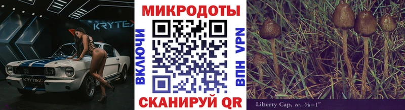 Купить закладки  Арамиль  Псилоцибиновые грибы прущие грибы 